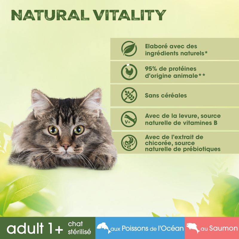 Perfect Fit Natural Vitality Adult