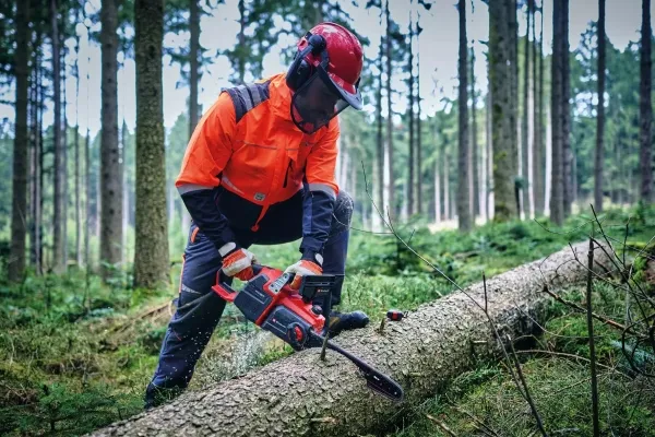 Einhell GP-LC 36/40 Li BL, 10500 rpm, Børstefri, 38 cm, 19,3 m/s, 76,2 / 8 mm (3 / 8