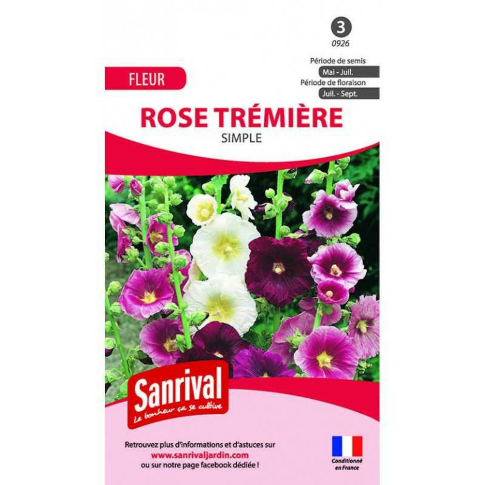 Graines rose trémière simple