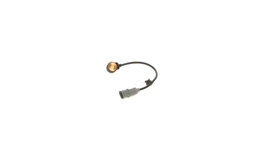 Bankesensor