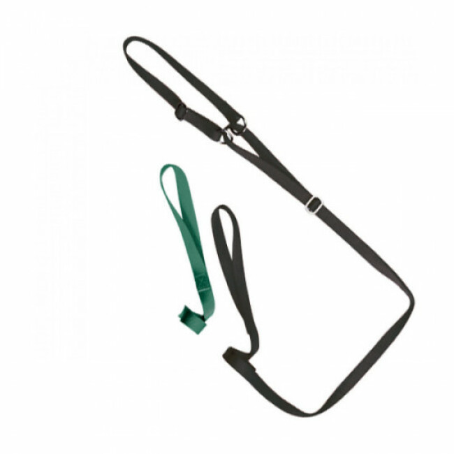 Laisse lasso plate avec collier nylon réglable pour chien