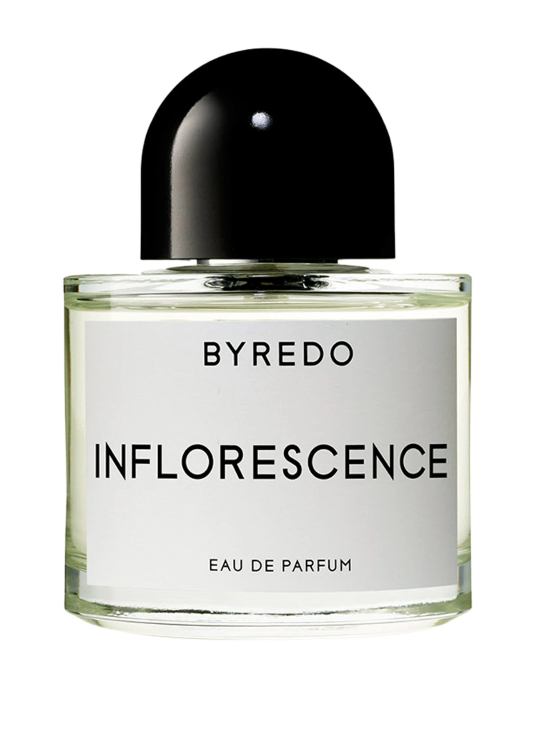 BYREDO INFLORESCENCE