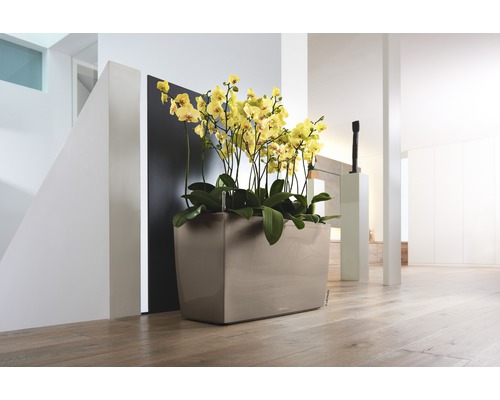 Lechuza Cararo kamerverdeler complete set 75 x 30 x 43 cm beige