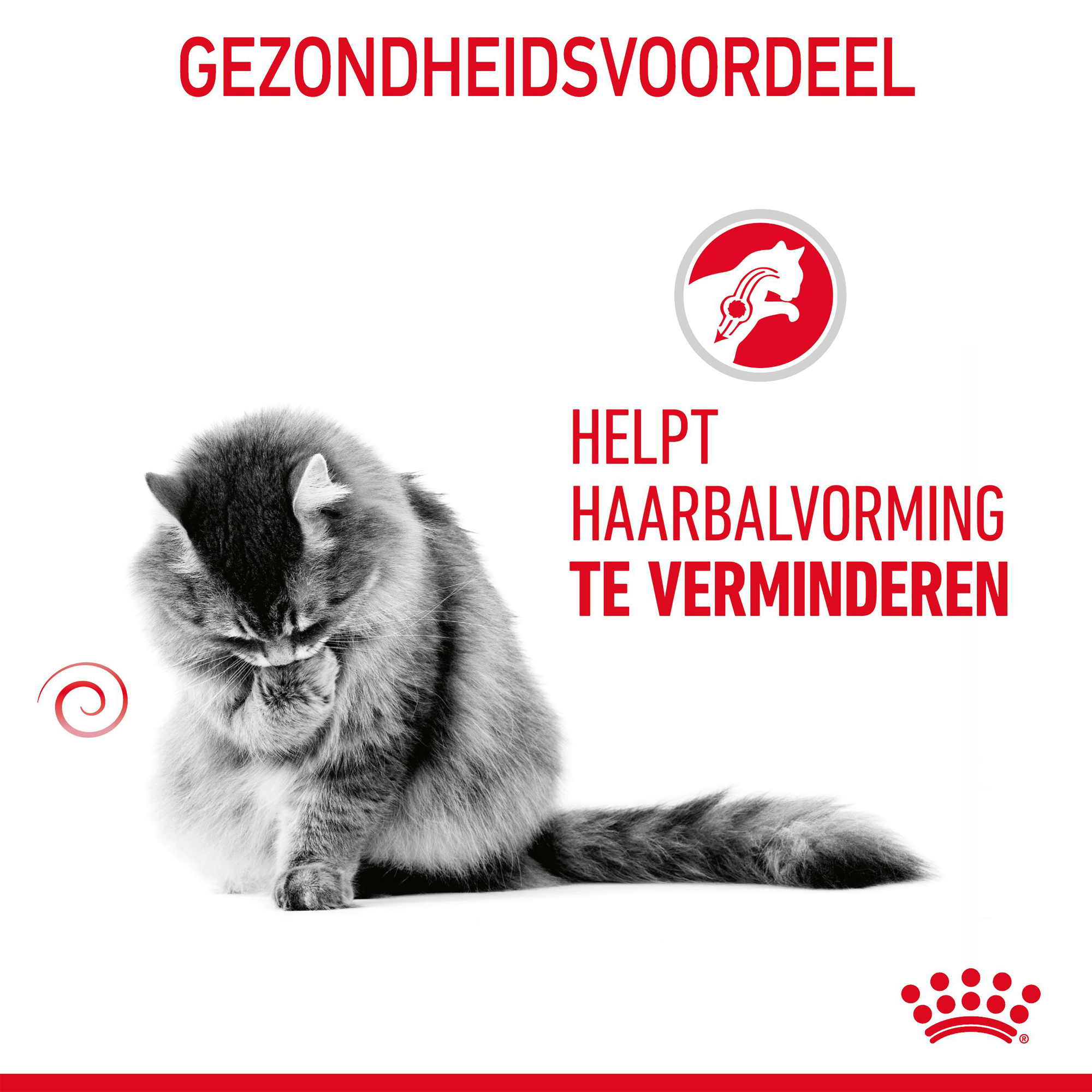 Royal Canin Hairball Care - Kattenvoer