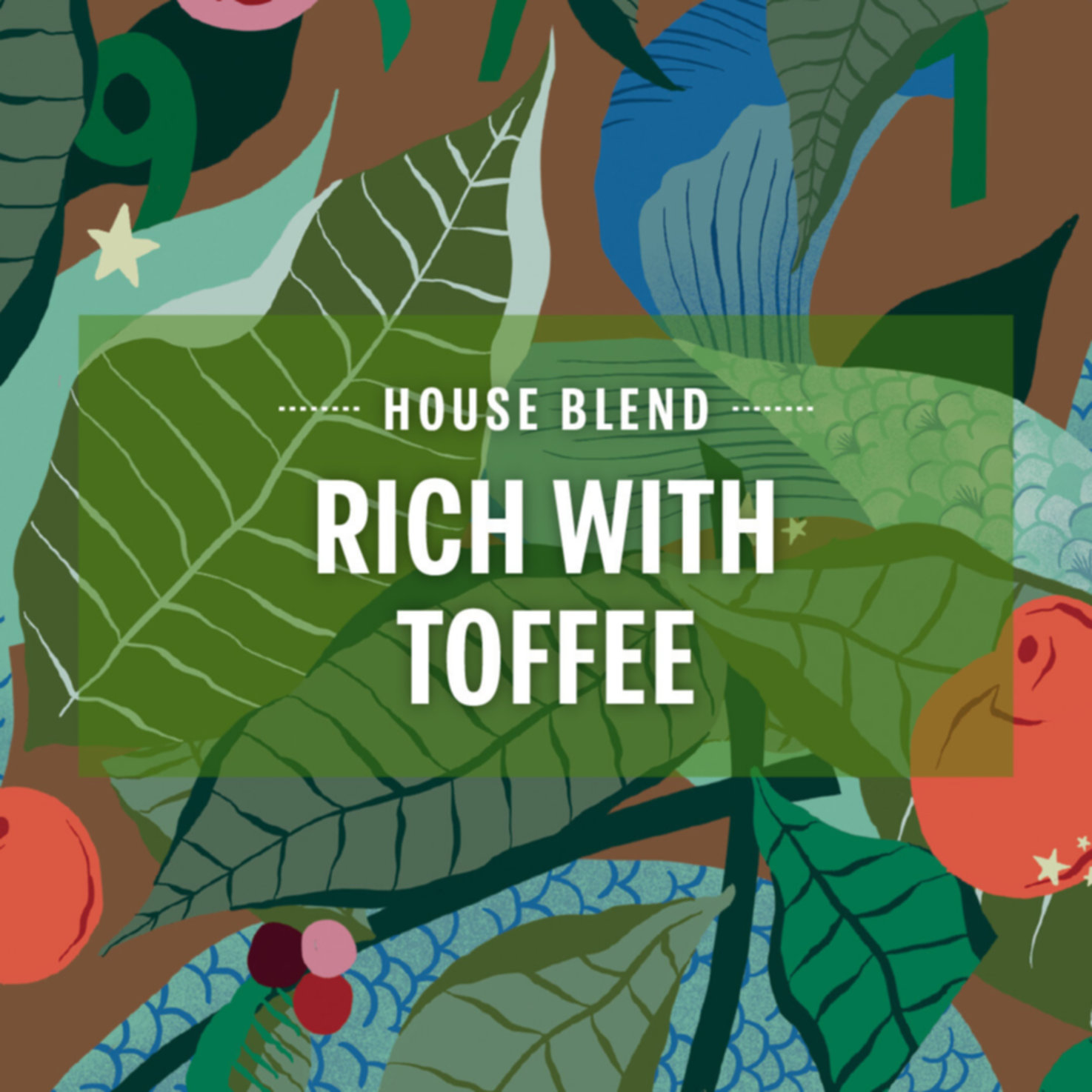 Starbucks Nespresso House Blend