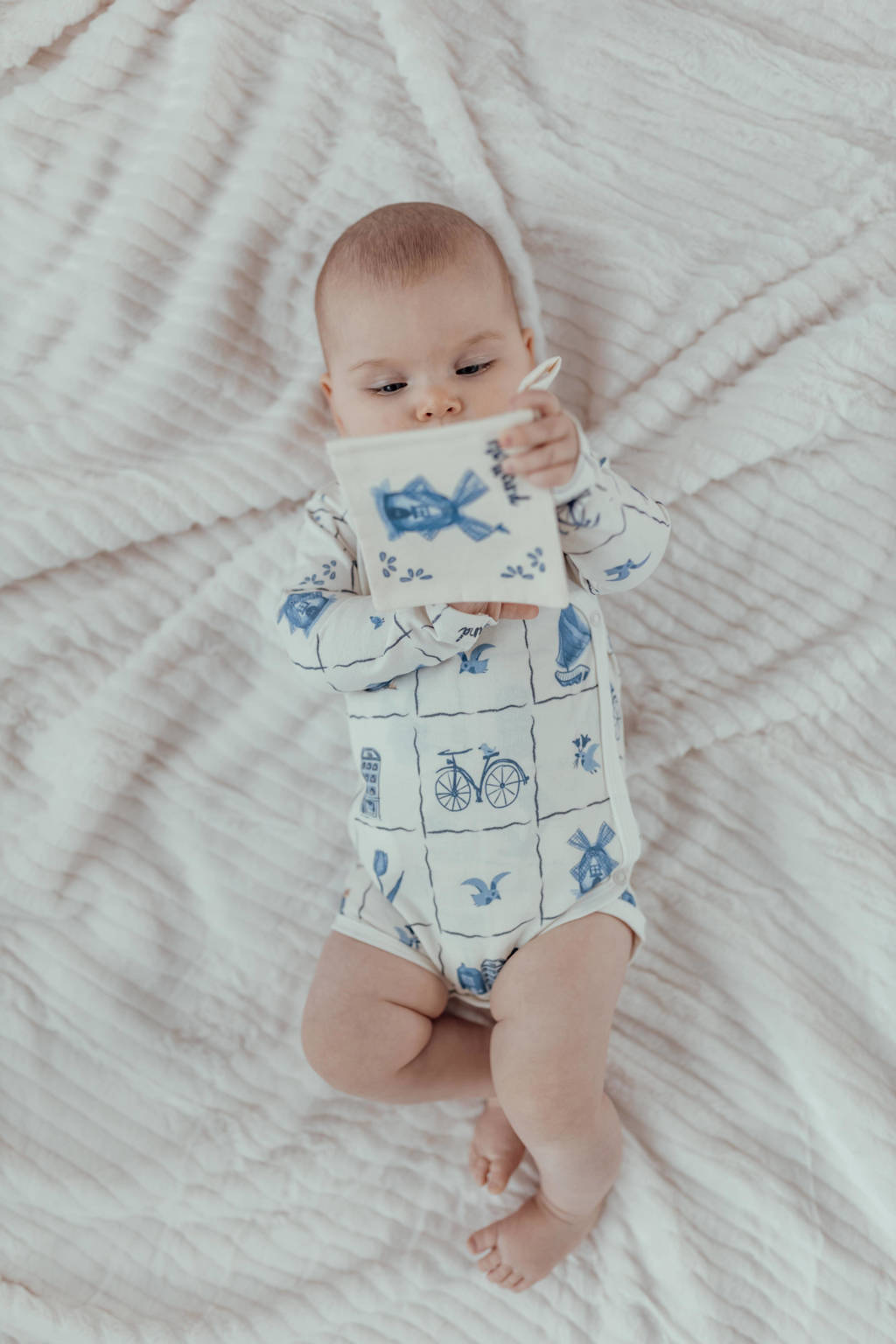 baby boekje Delfts Blauw