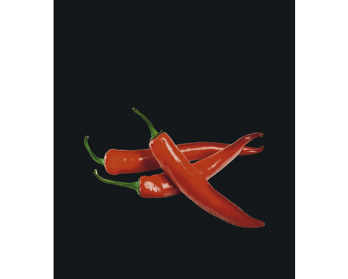Glazen achterwand Wenko Hot Pepperoni 60 x 70 cm
