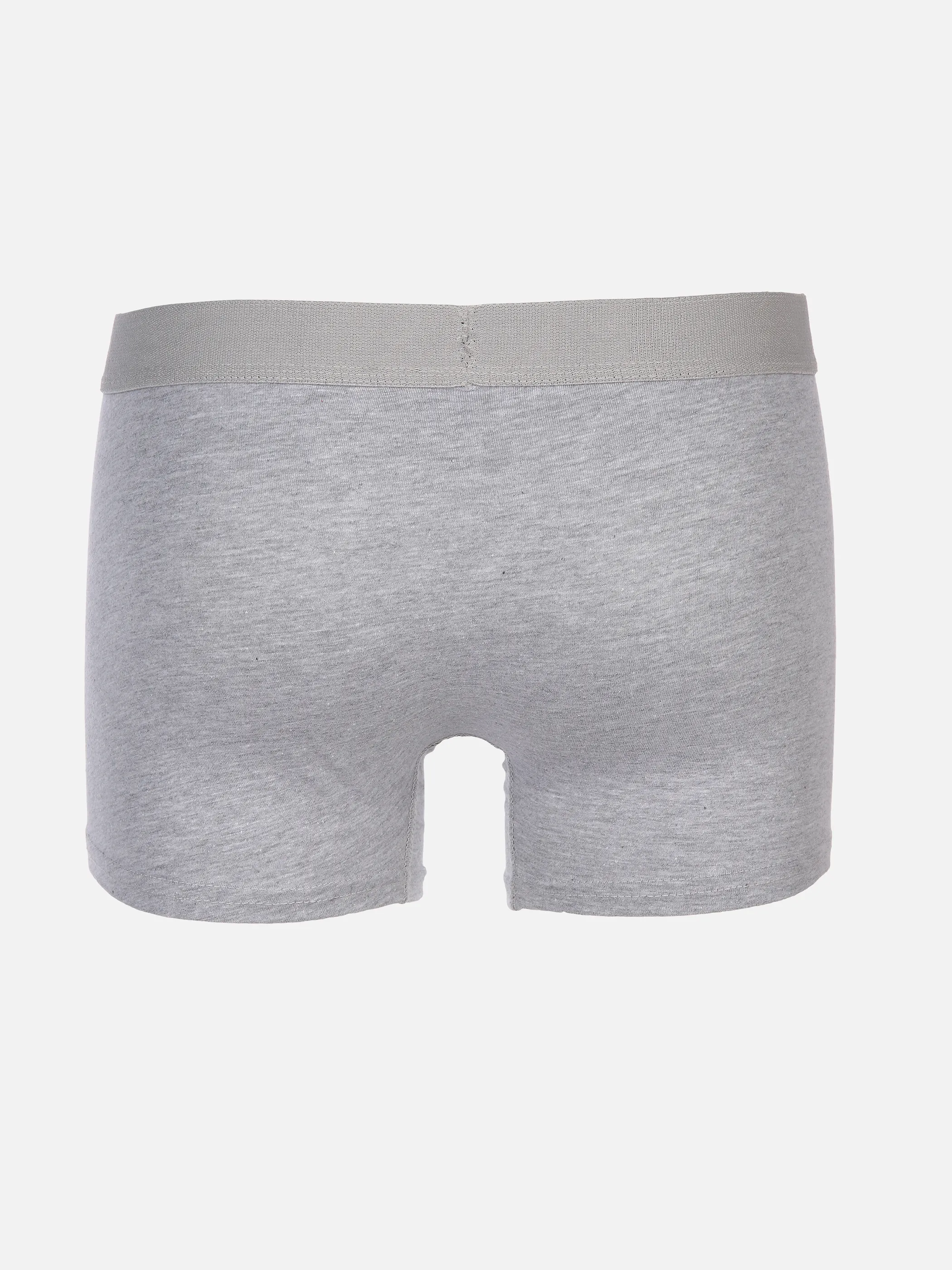 Herren Bio Slips