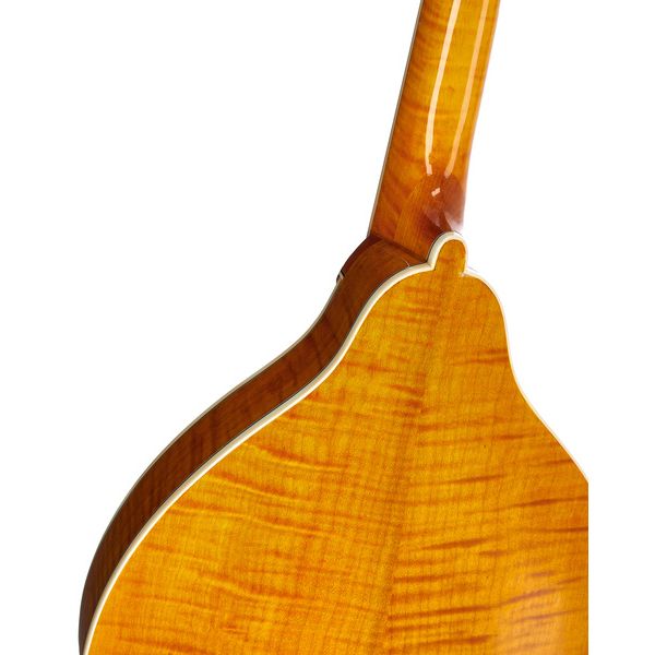 Richwood RMA-110-VS A-Style