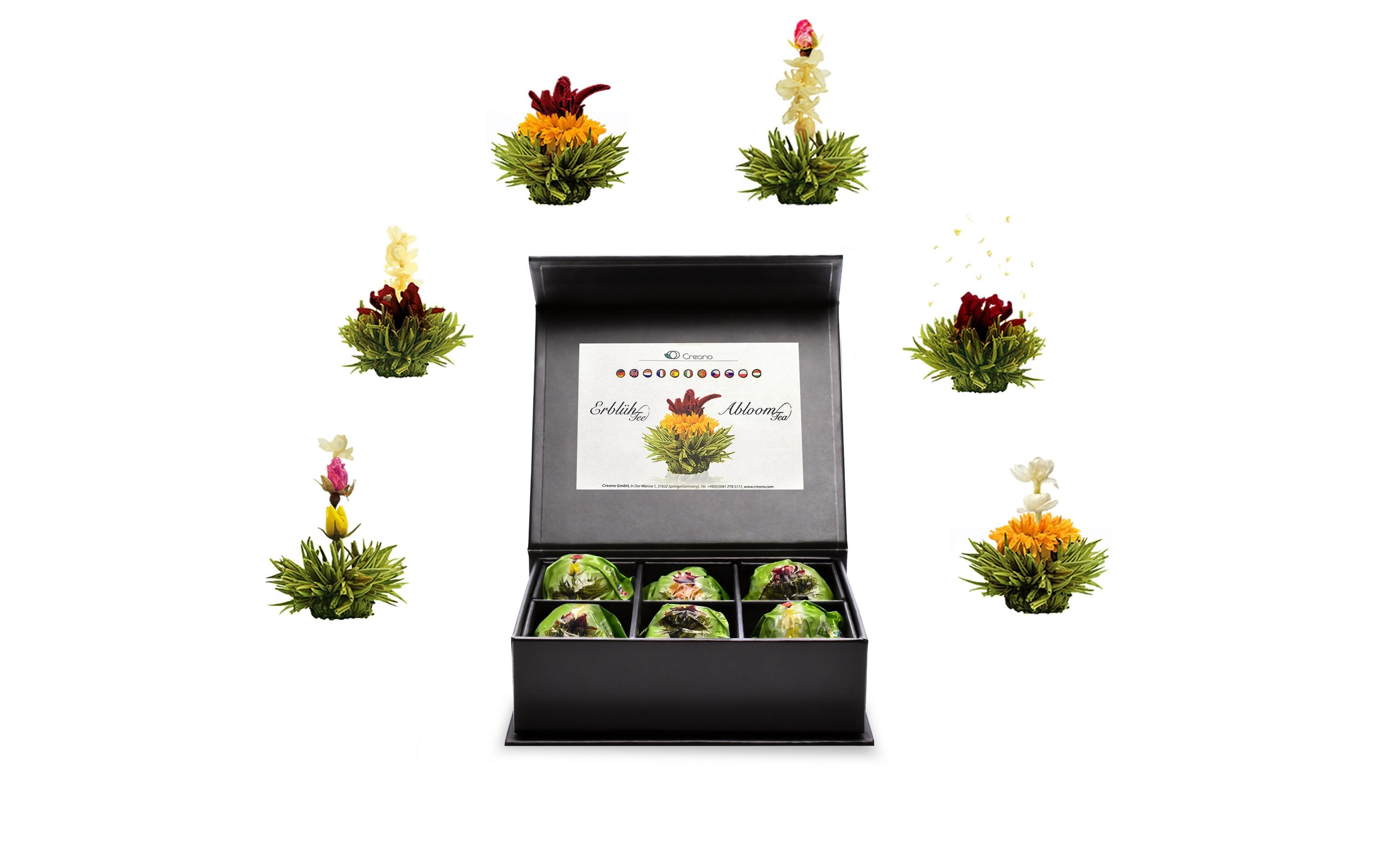 Erblühtee grüner Tee fruity flavor 6er MagnetboxTeerosen assortiert