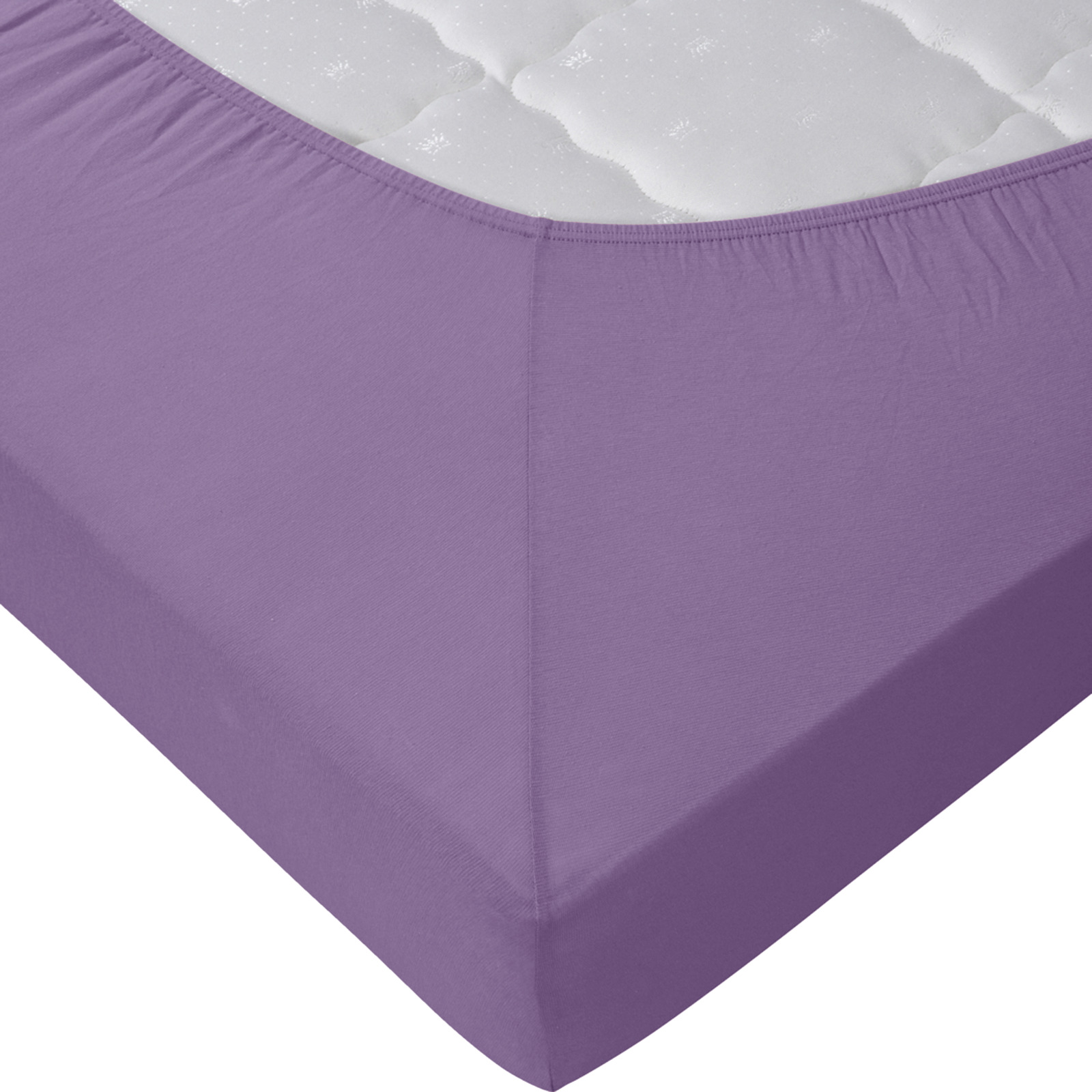 Living Edition Jersey-Fixleintuch 180x200, lila