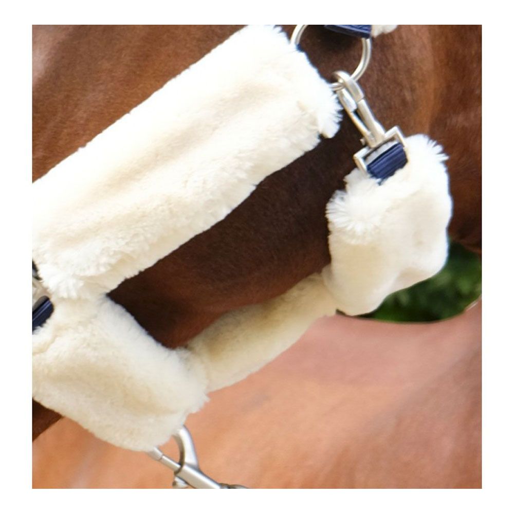 Equitheme TEDDY - Licol mar/ecru