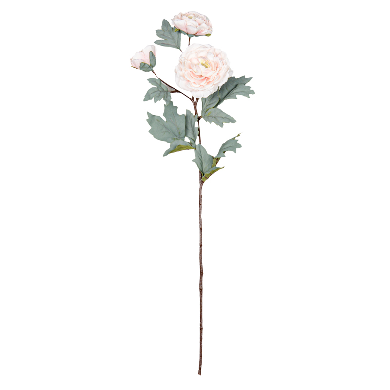 Tige de renoncule 62CM