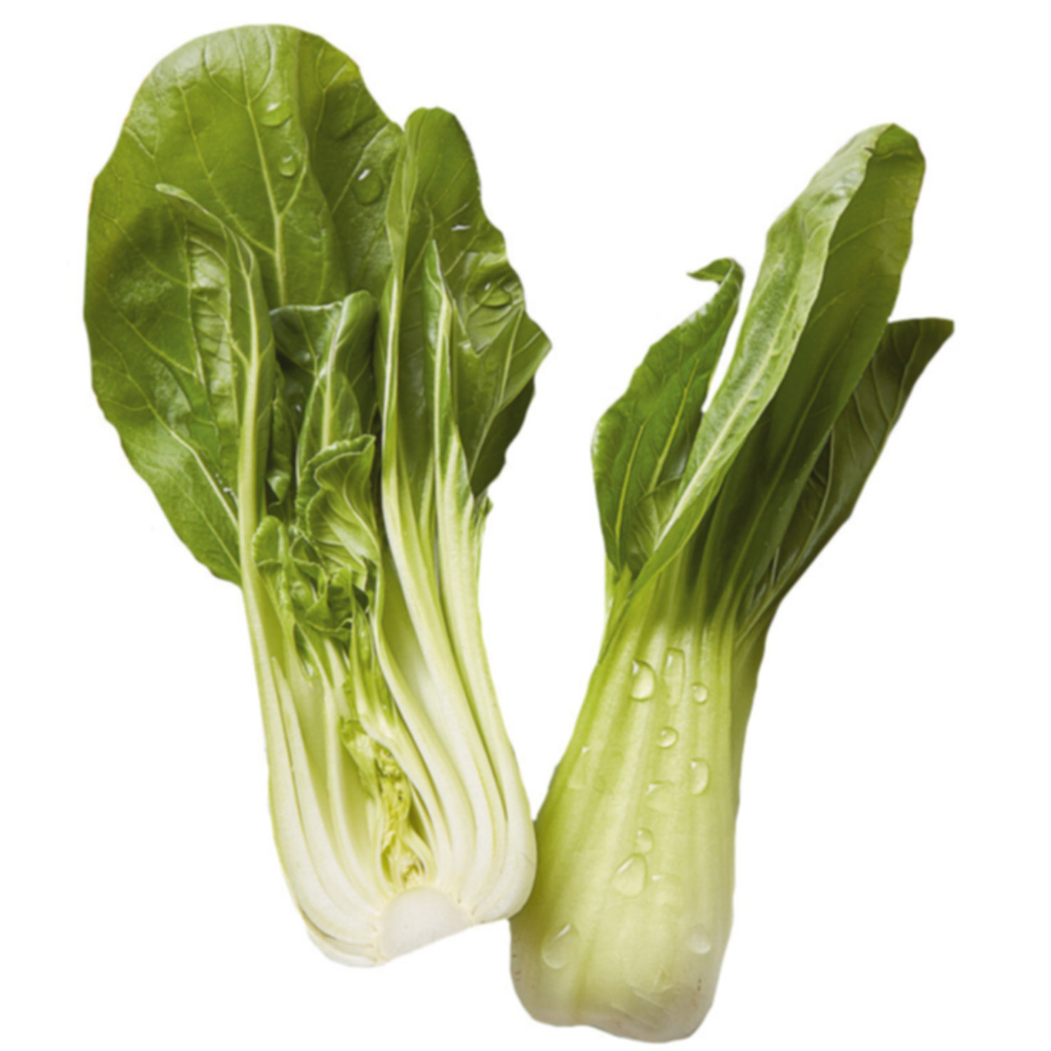 Pak-Choi -