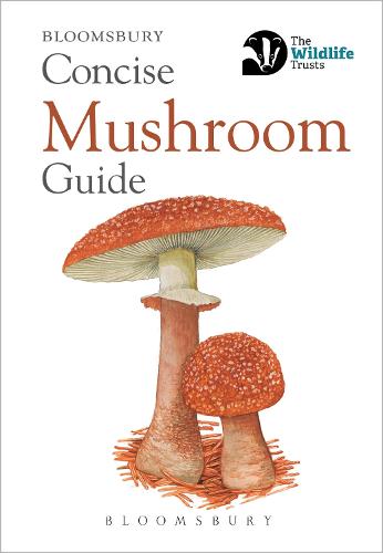 Concise Mushroom Guide - Concise Guides (Paperback)