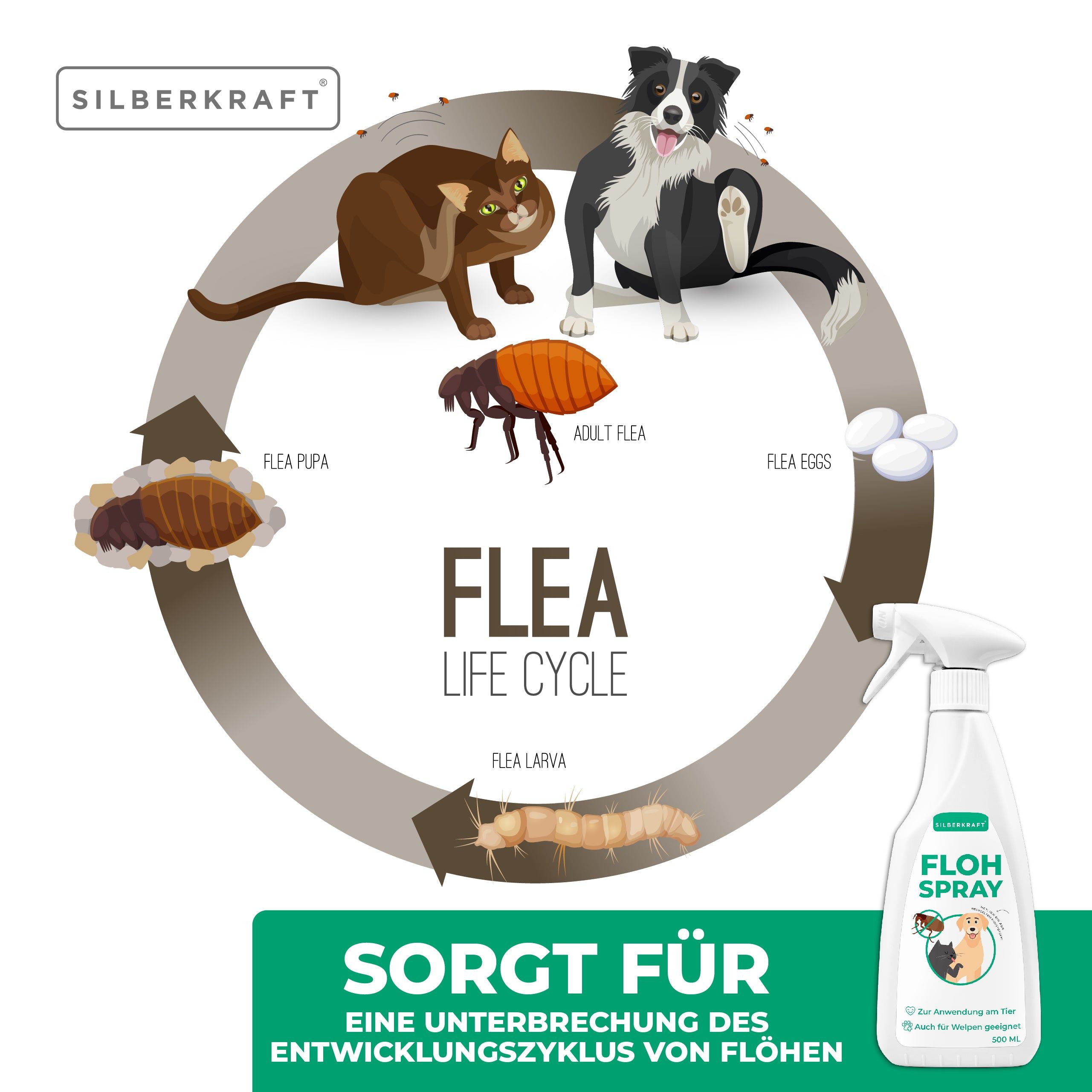 SILBERKRAFT Flohspray Hunde und Katzen