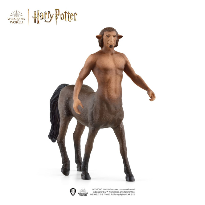 HARRY POTTER - Firenze