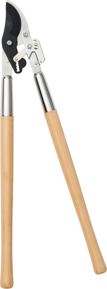 Intratuin premium takkenschaar bamboe