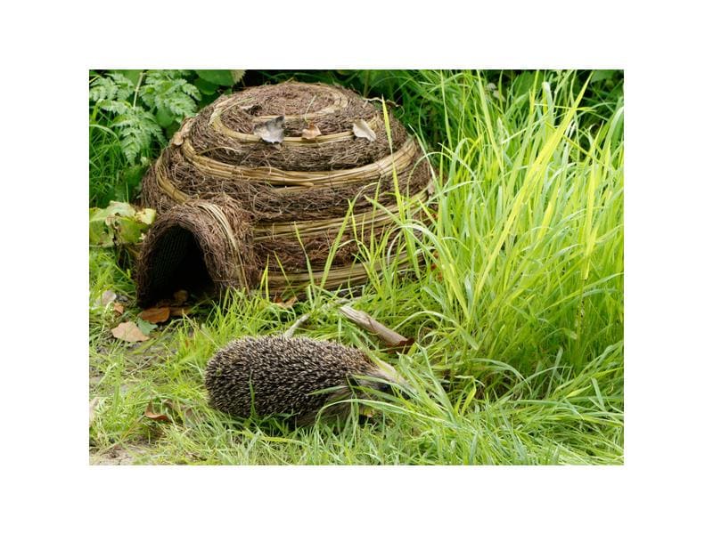 Wildlife World Igelhaus Iglu, 59 x 53 x 22 cm Häuschen als Unterschlupf für Igel