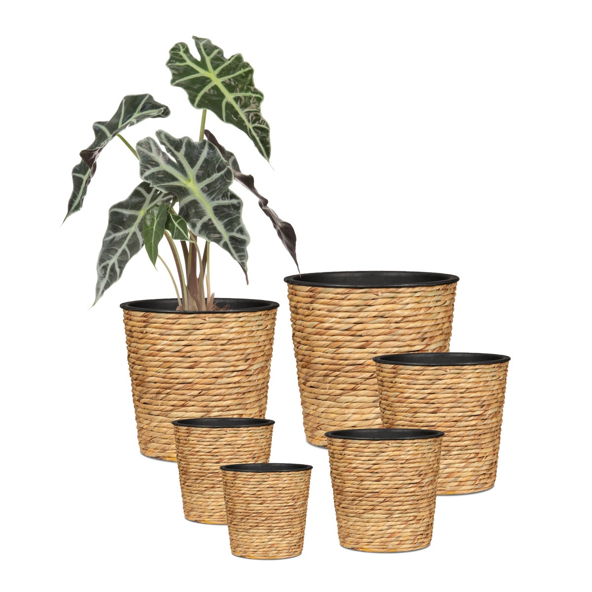 Scheurich Waterhyacint 30, plantenbak/mandpot van waterhyacint, kleur: naturel, 30 cm diameter, 28 cm hoog, 23,9 l inhoud.