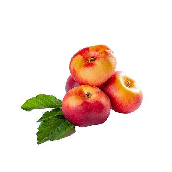 Platerina Bio - Kg