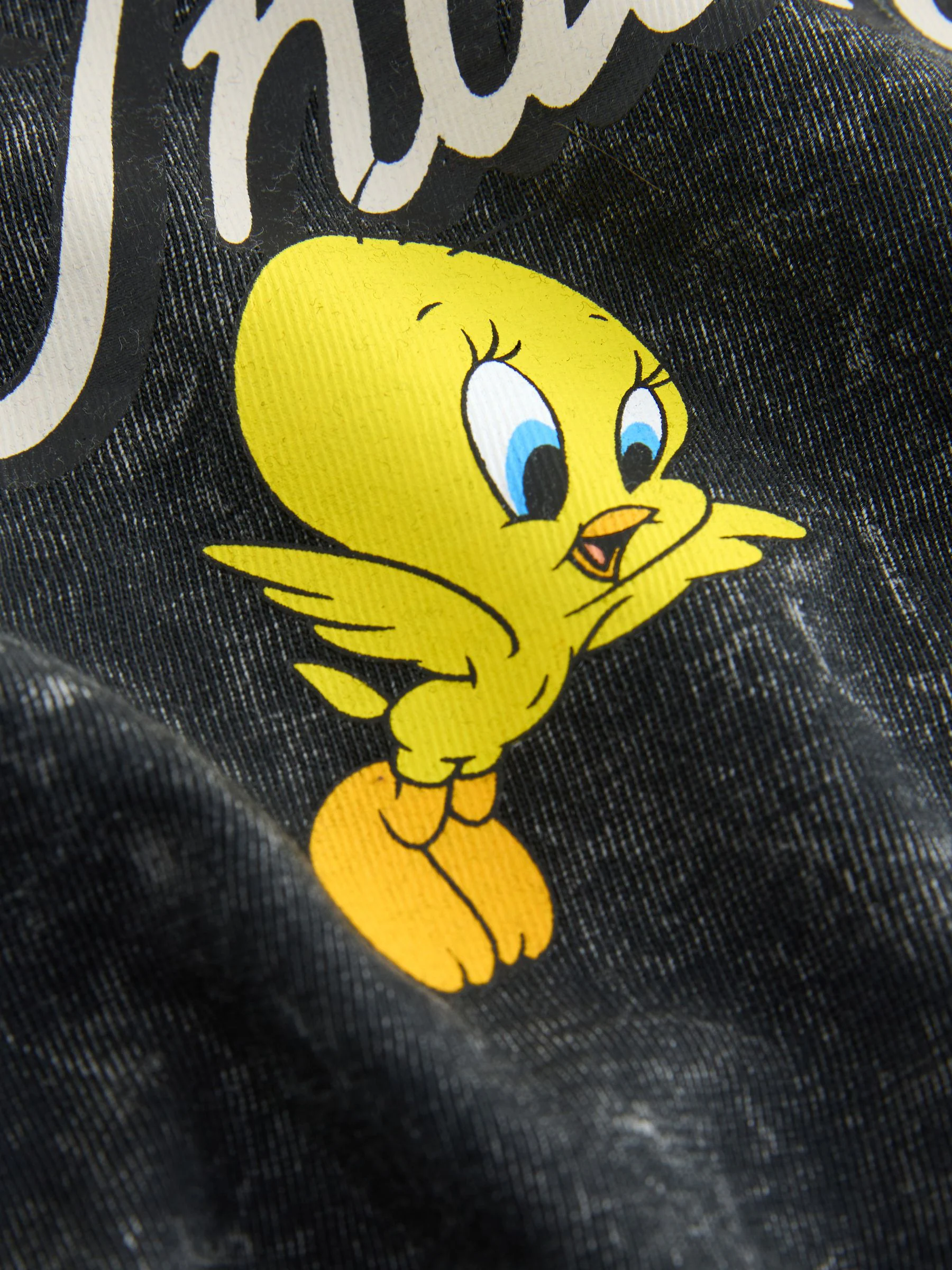 Antraciet - Looney Tunes T-shirt met lange mouwen (3mnd -8jr)