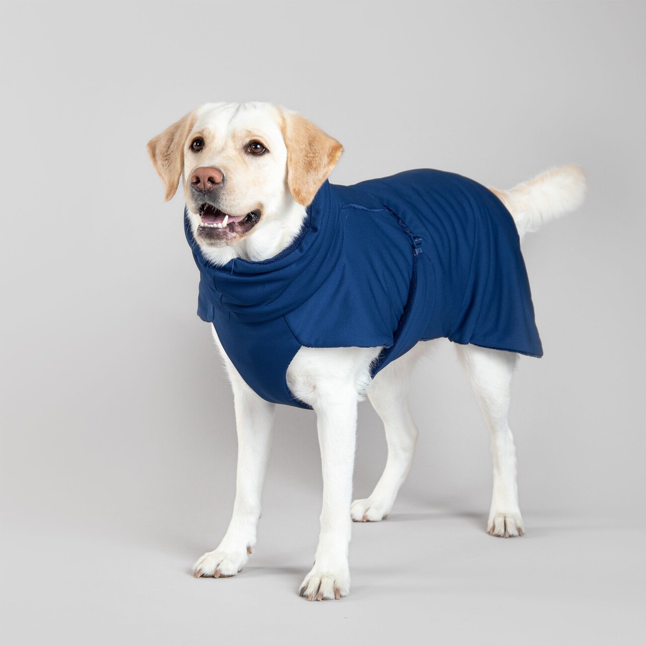 Paikka Drying Coat 2Go navy 30 cm