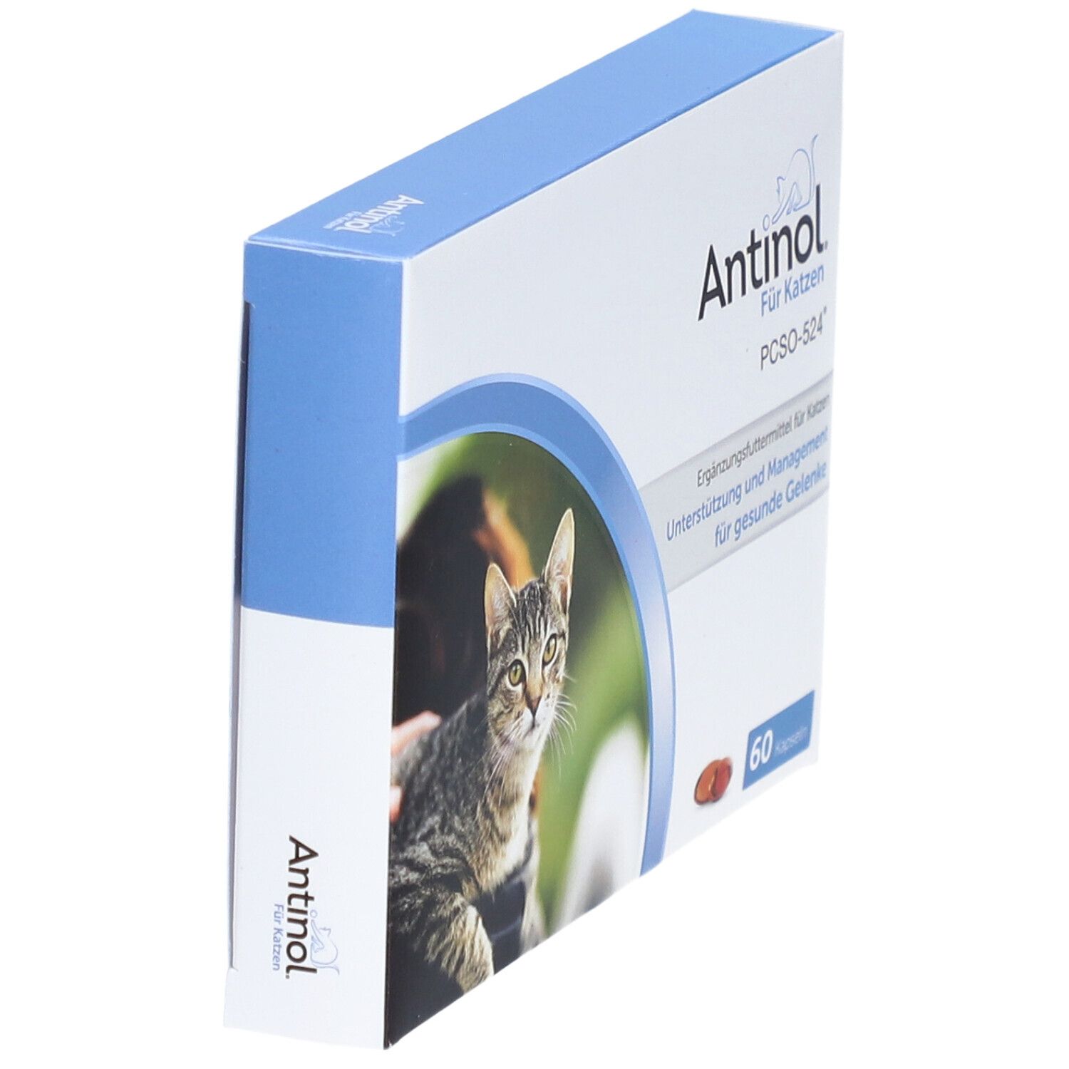 Antinol® Für Katzen