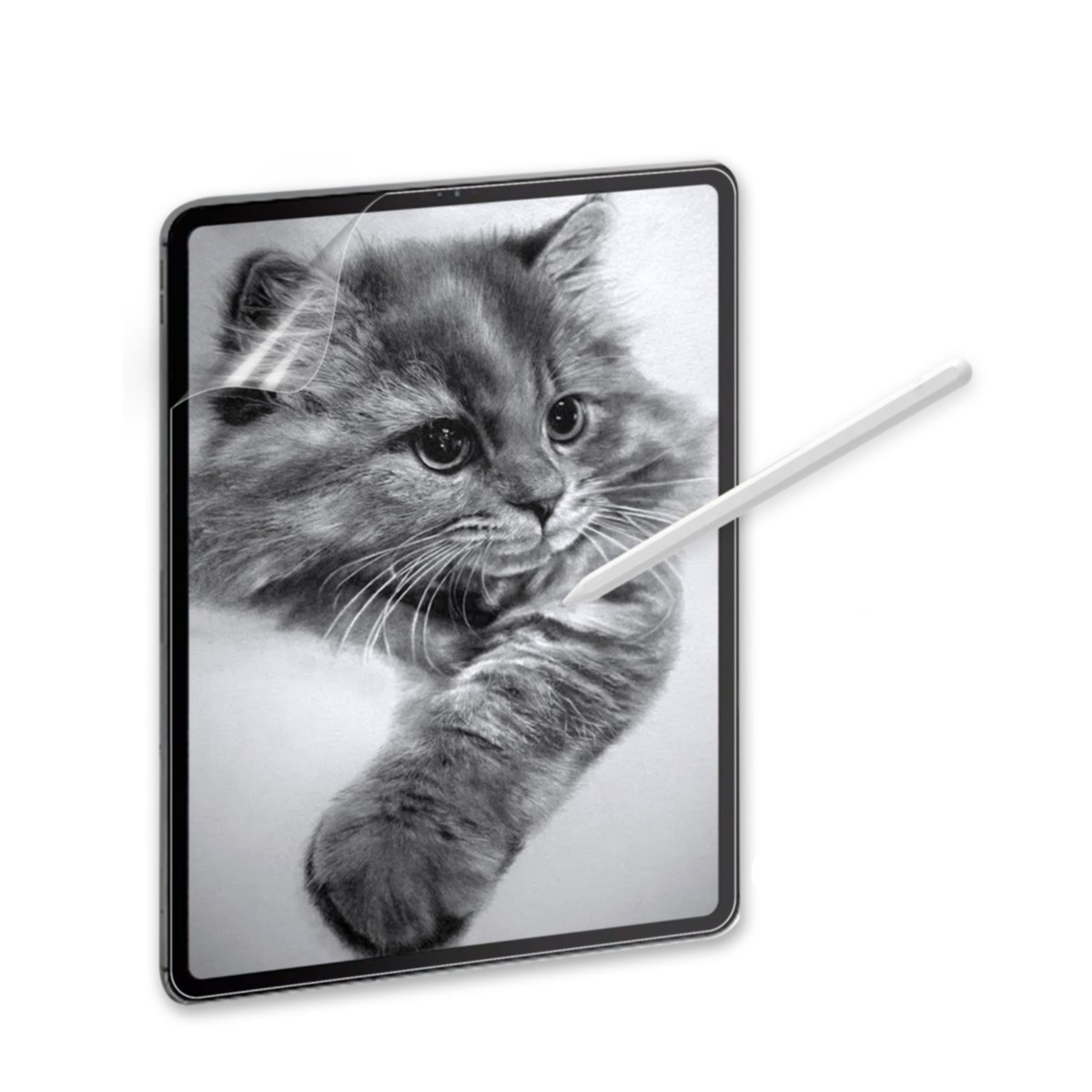 Samsung Galaxy Tab S10  Plus / S9 FE  Plus / S9  Plus / S8  Plus / S7 FE Papier-Textur Paper-Feel Vollbild Display Schutzfolie mit Magnethaftung