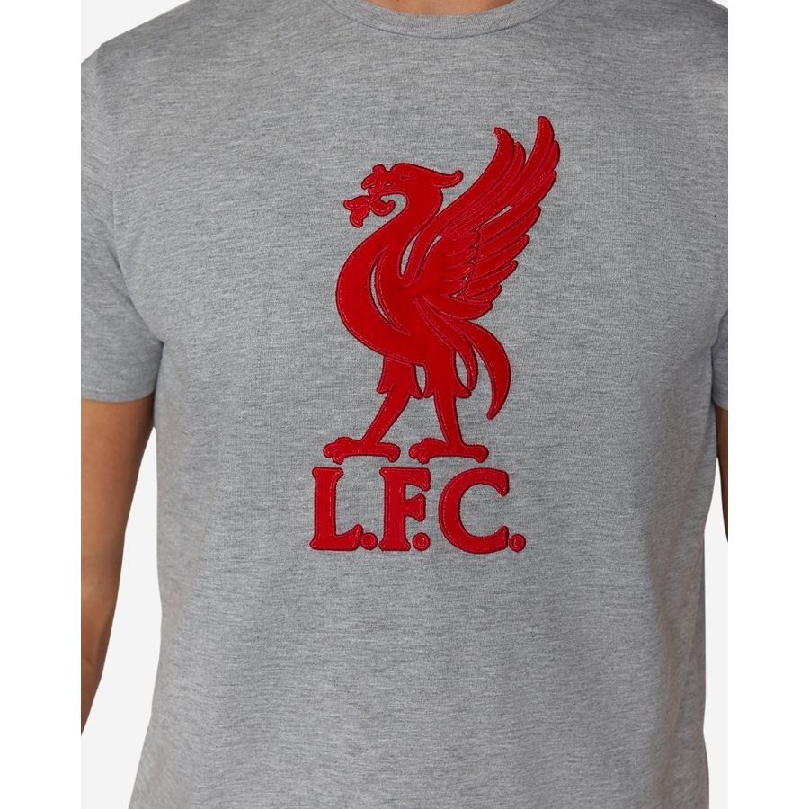 Liverpool T-Shirt Liverbird - Gris