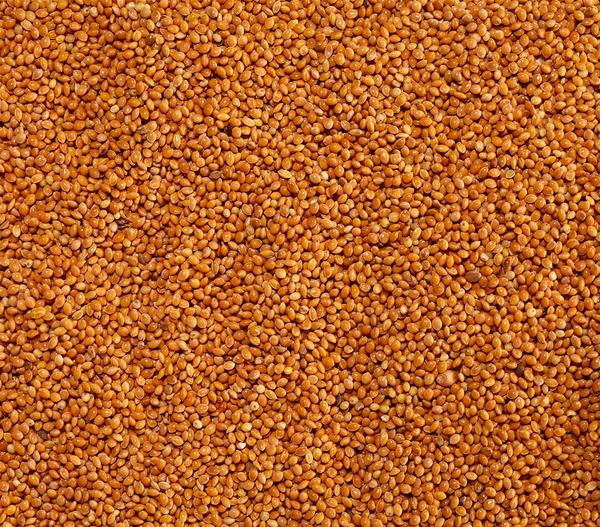 Dehner Lieblinge Marokkohirse, 1 kg