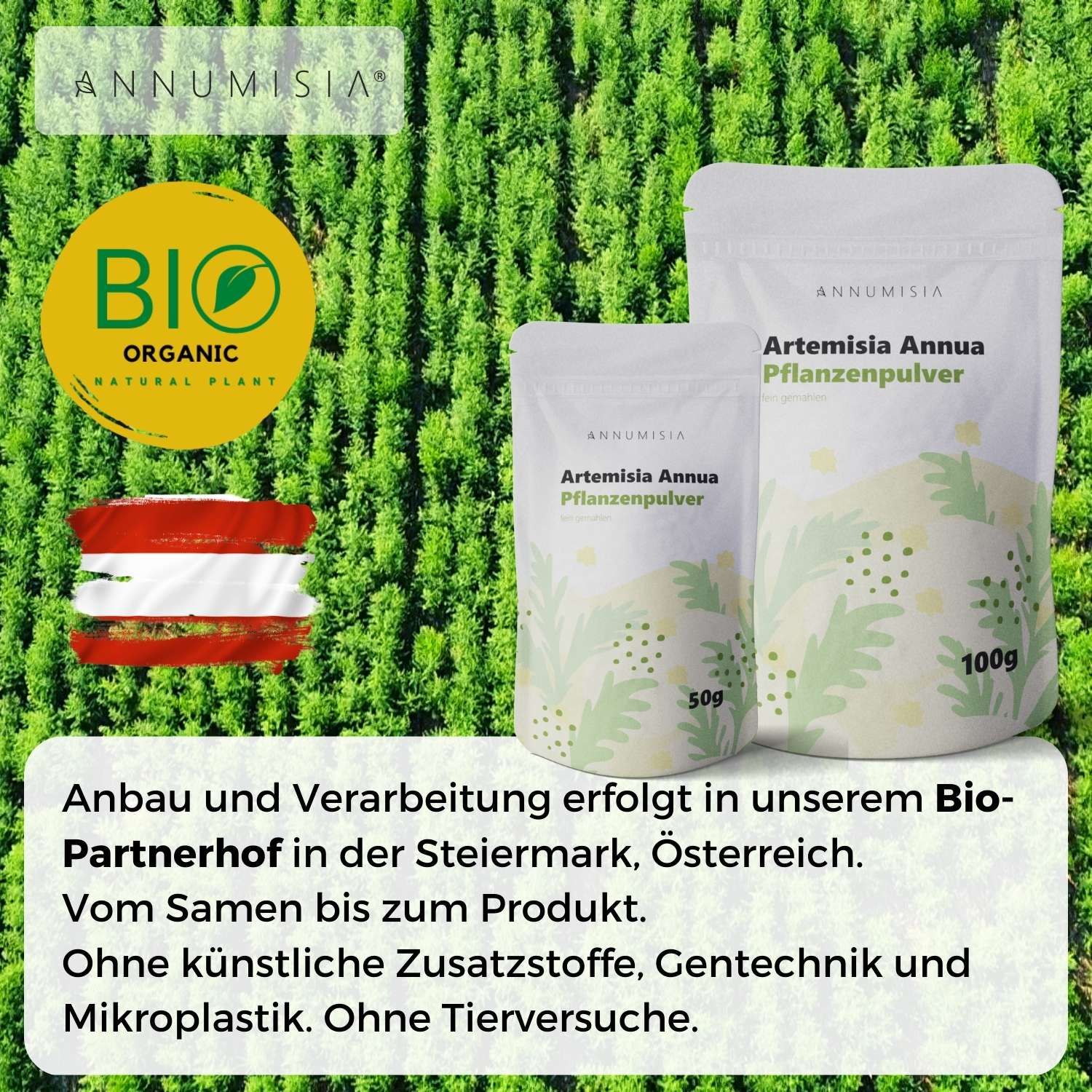 ANNUMISIA® Artemisia Annua Pflanzenpulver