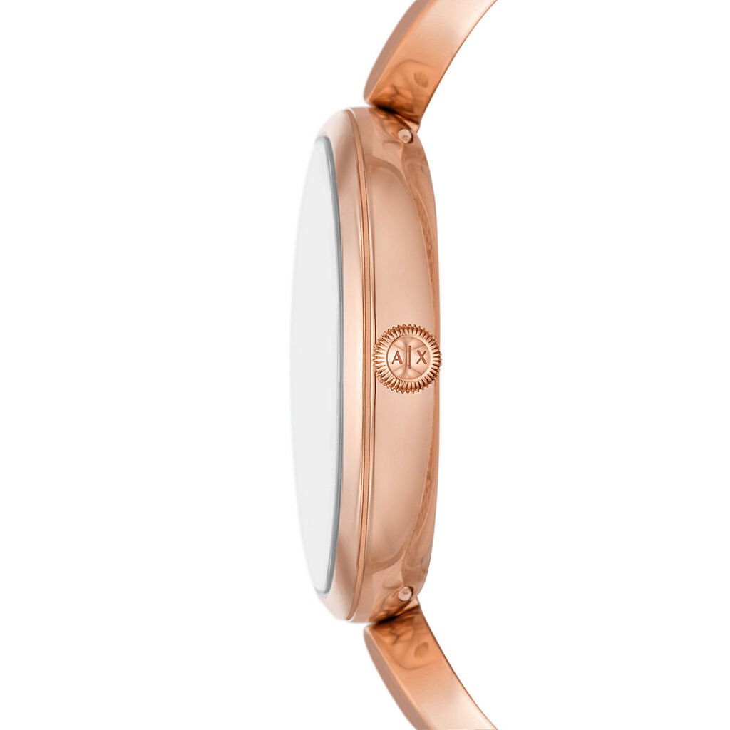 Montre Armani Exchange Marron