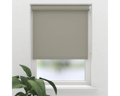 Soluna daglichtrolgordijn T13, effen taupe, 60x190 cm