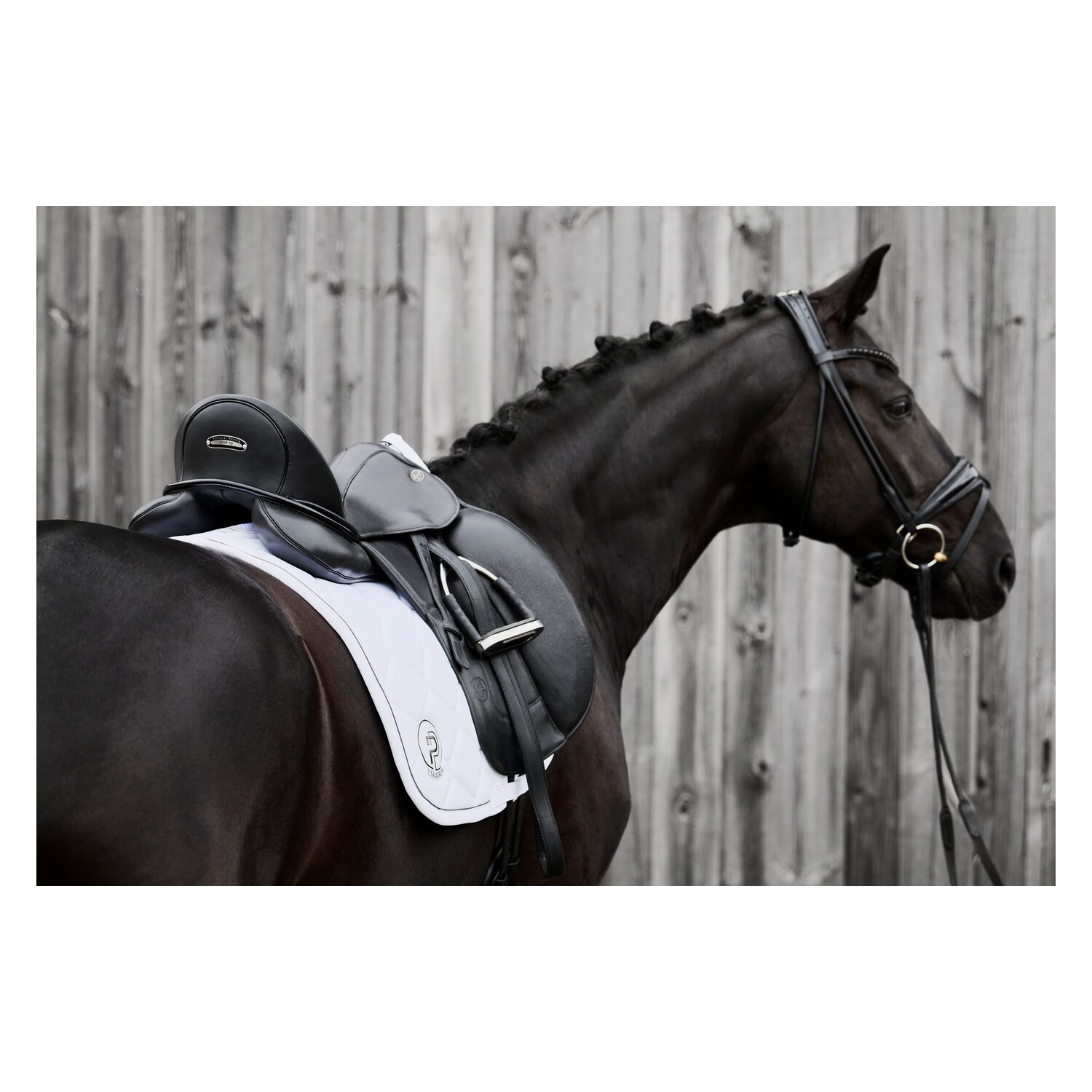 ESKADRON Platinum Schabracke Softshell Emblem - white