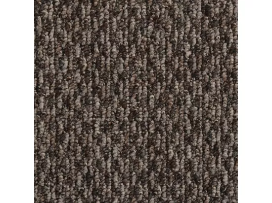 Paillasson Beige 60x80 cm