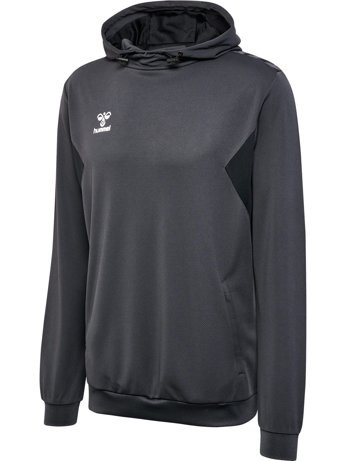 hmlAUTHENTIC PL HOODIE
