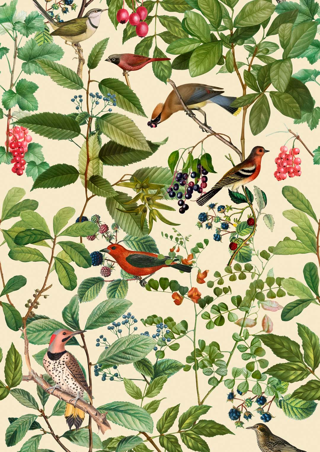 Vögel und Beeren von Andrea Haase