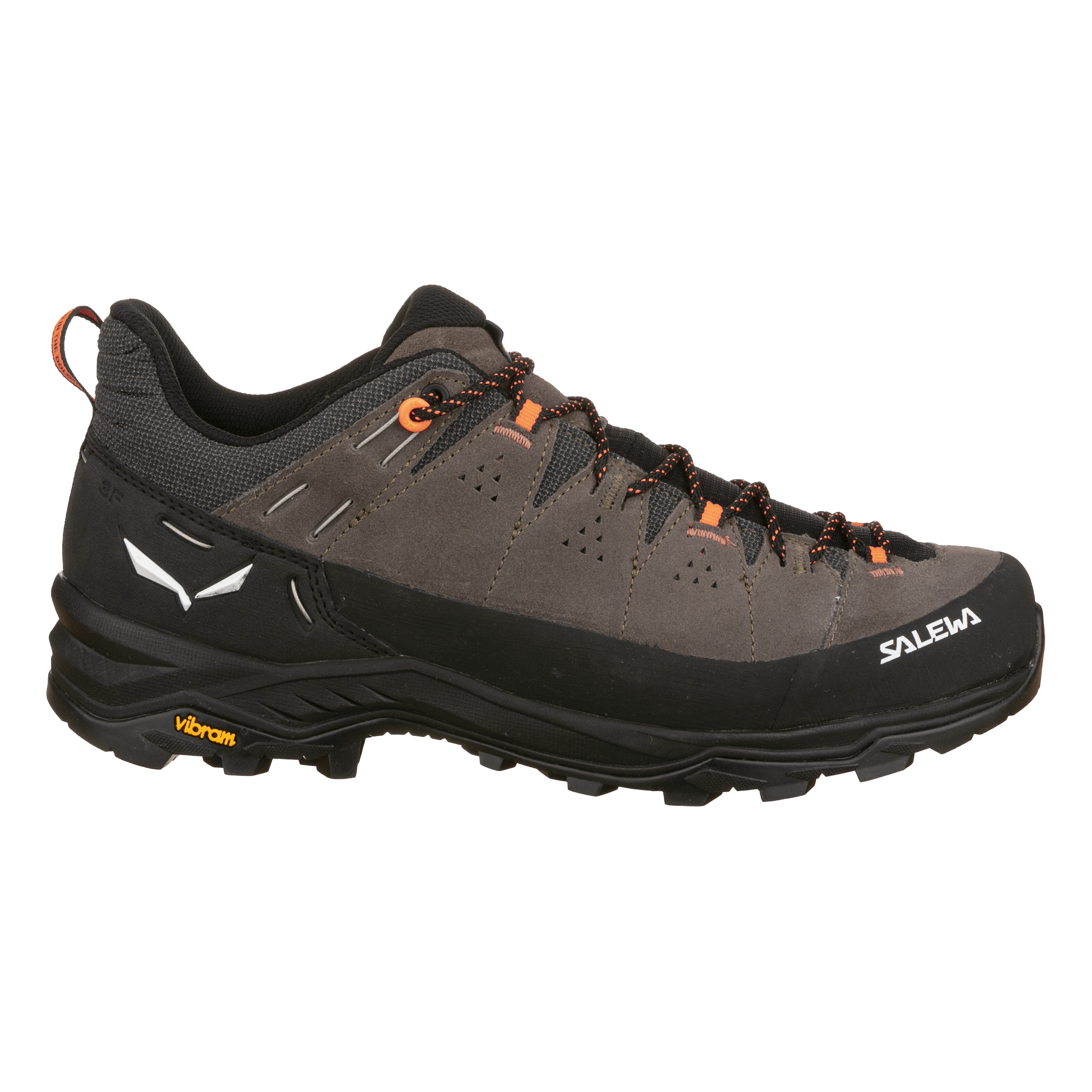 Alp Trainer 2 Schuh Herren