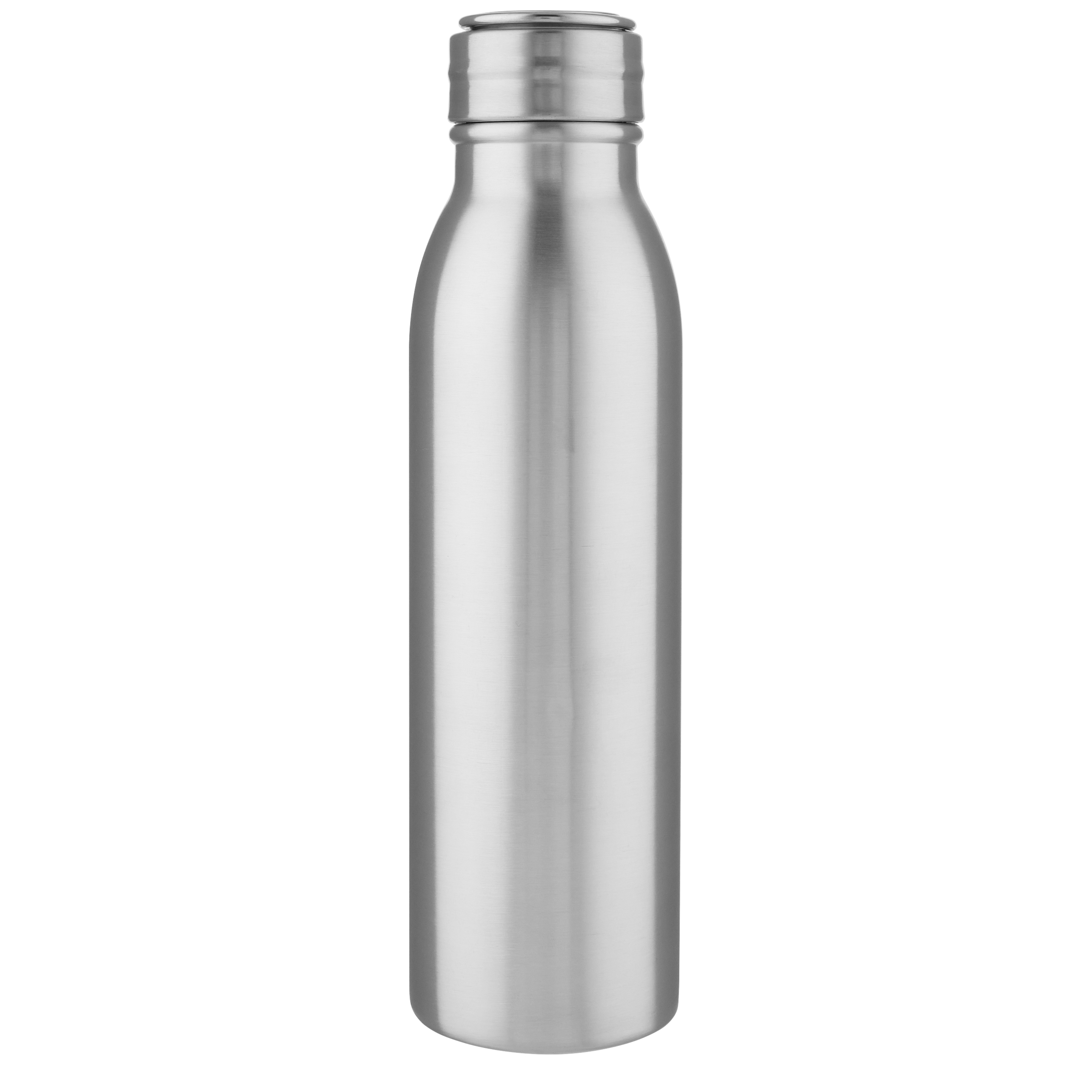 EgotierPro 100678 - Bouteille en Acier Inoxydable Harper 700 ml avec Anse Métallique