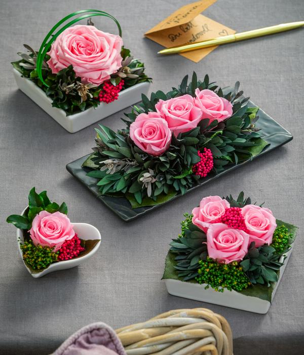 Dehner Keramik-Schale mit Longlife-Rose Zina,