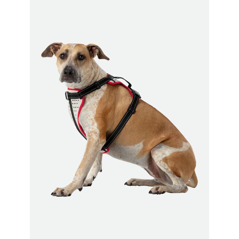 K9 Reflective Dog Harness - Harnais pour chien