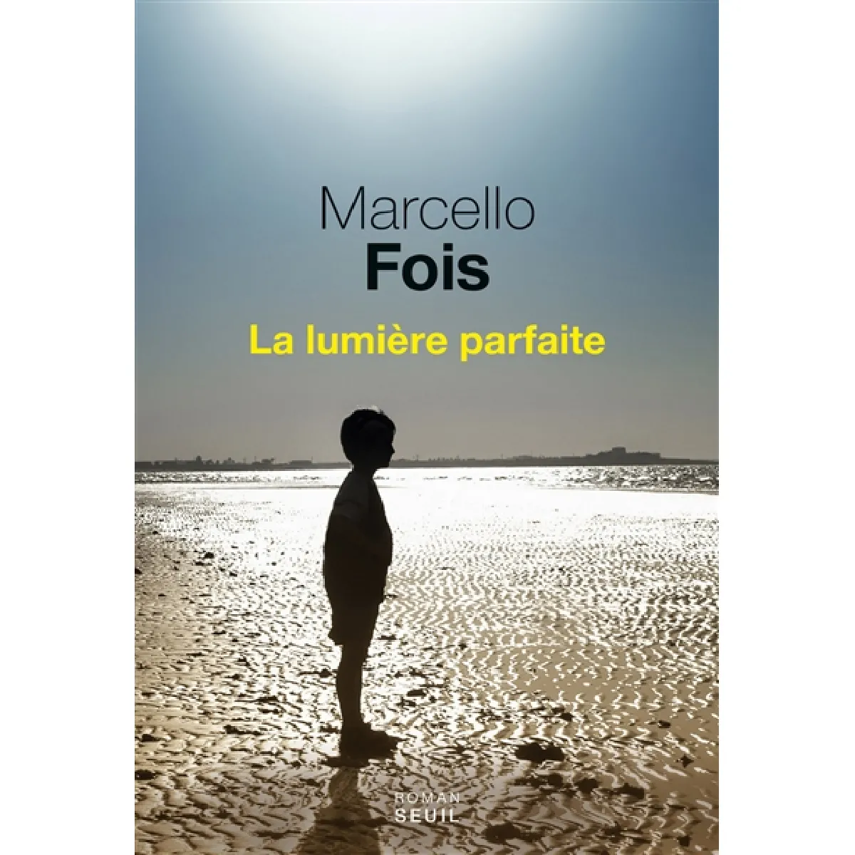 La lumière parfaite · Occasion