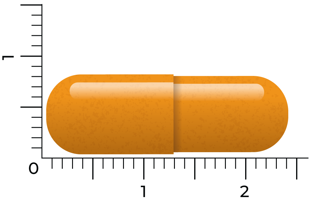 Vitakruid Groene Thee & Bioperine® >50% Egcg >80% Catechines (60 vega capsules)
