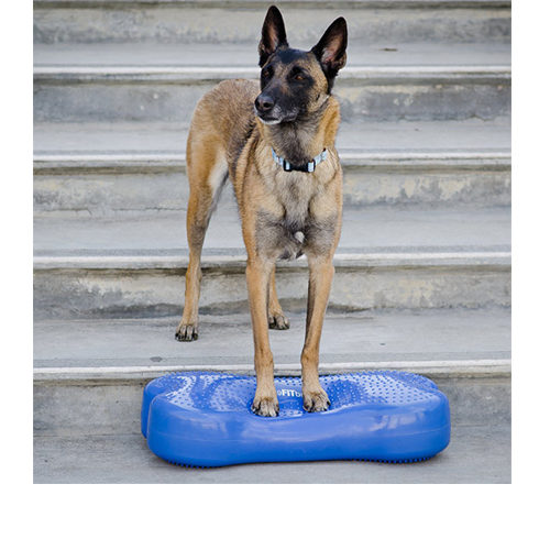 FitPAWS K9Fitbone