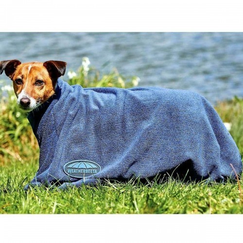 Toalha azul para cachorro