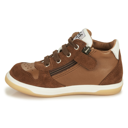 GBB - FREDDY - Marron