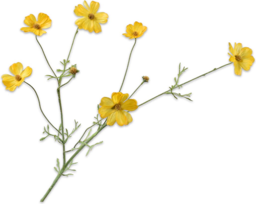 Silk-Ka kunstbloem Cosmea geel 77 cm