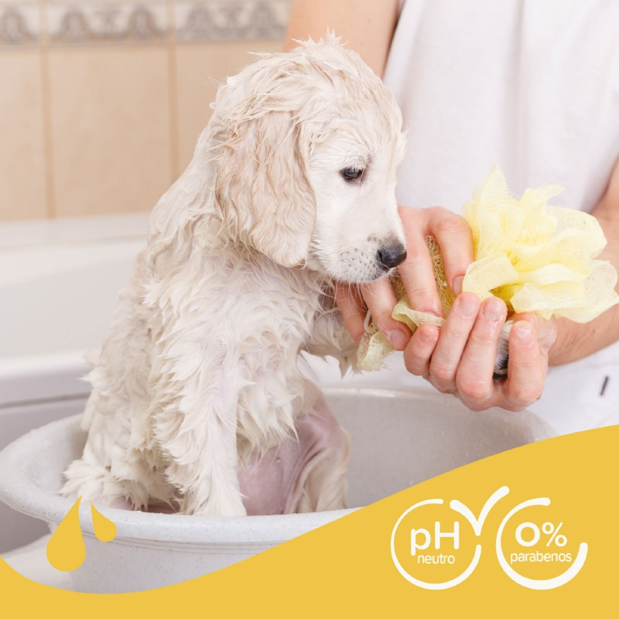 Shampoo Beaphar Extra Soft para Filhotes