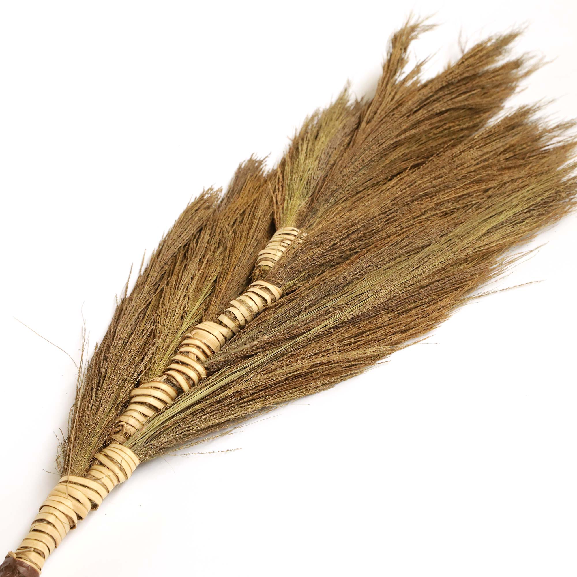 Edelginster gebunden, H 100 cm von fischer's lagerhaus